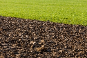 Pourquoi choisir la terre arable pour votre nivellement paysager ?